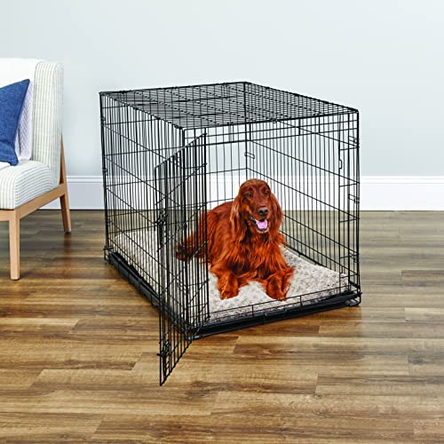 Midwest Homes for Pets 42-Inch New World Crate for Large Breeds, 71-90 lbs, Single Door Folding Dog Crate, Leak-Proof Tray & Secure Latch, Portable, Durable & Easy to Assemble