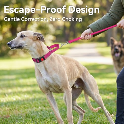 Joytale Martingale Collar for Dogs, Reflective Escape Proof Training Dog Collars with Safety Lock Buckle, No Slip Soft Nylon for Medium Pets, Hotpink, M