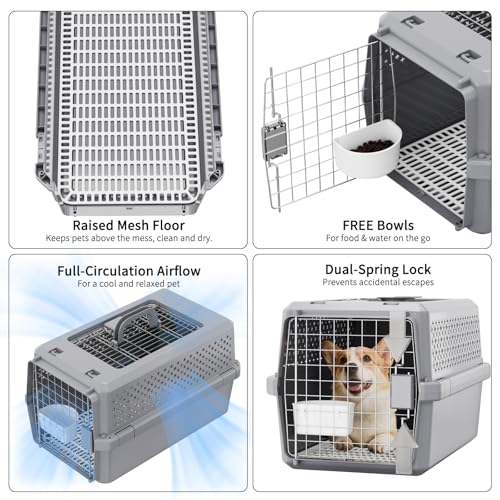 RIZZARI Pets Spree Hard-Sided Pet Travel Carrier, Portable Crate for Medium Dogs and Cats, Durable Plastic Carrier with Metal Door and Ventilation, Ideal for Air Travel, Trips and Outdoor Use