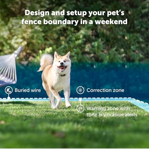 PetSafe Stubborn Dog Pet Fence Receiver Collar Only - In-Ground Containment Collar, Waterproof - Tone, Vibrae & Static Correction for Dogs 8lb and Up - From The Parent Company of INVISIBLE FENCE Brand
