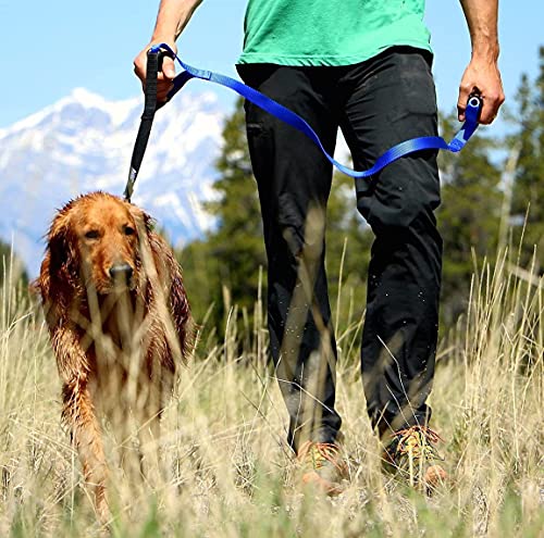 Leash Boss Original - Heavy Duty Dog Leash for Large Dogs - No Pull Double Handle Training Lead for Walking Big Dogs - Dog Leashes with Padded Handle for Control and Safety (Blue)
