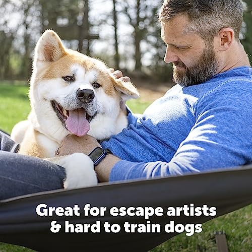 PetSafe Stubborn Dog Pet Fence Receiver Collar Only - In-Ground Containment Collar, Waterproof - Tone, Vibrae & Static Correction for Dogs 8lb and Up - From The Parent Company of INVISIBLE FENCE Brand