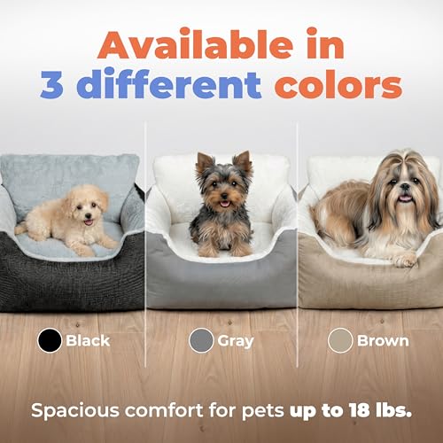 Best Pet Supplies Elevated Dog Car Seat for Small Dogs, Booster Seat with Safety Tether & Storage, Washable Travel Pet Seat for Front or Back Seat, Up to 25 lbs - Gray - 21 x 20 x 14