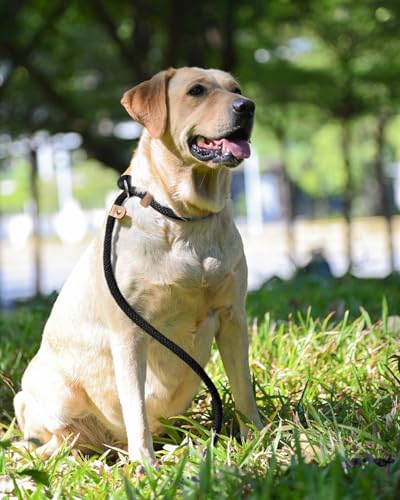 lynxking Slip Lead Dog Leash, 6 FT x 1/2" Heavy Duty Dog Loop Leashes, Comfortable Strong Rope Slip Leash for Dogs