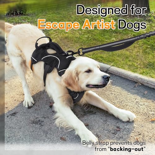 rabbitgoo Escape Proof Dog Harness, Soft Padded Full Body Pet Harness, Reflective Adjustable No Pull Vest with Lift Handle and Leash Clip for Large Dogs Walking Hiking Training, L, Black
