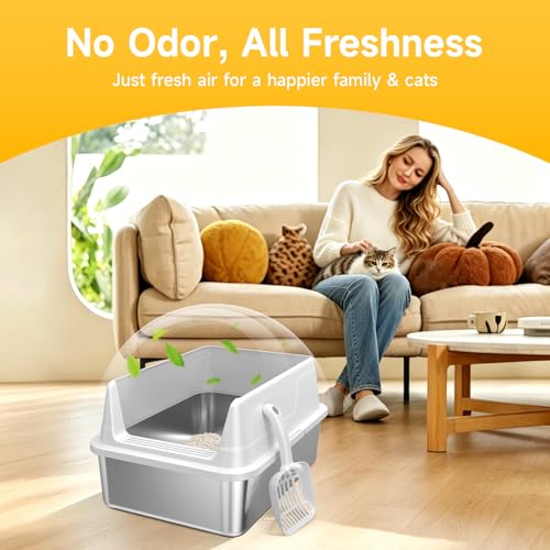 Tevila Stainless Steel Litter Box with High Sides, Small Metal Litter Box for Kittens & Senior Cats, Open Top Low Entry Non-Stick Easy Clean with Scoop, Gray