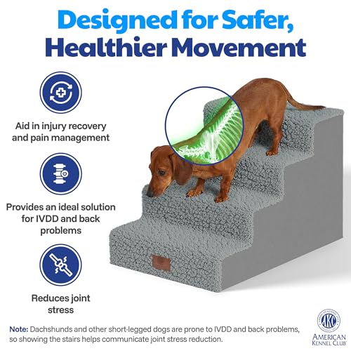 AKC – 4-Step Pet Stairs for Beds & Couch | Built for Small Dogs & Small Breeds | Long-Back & Senior Dogs | Lightweight, Soft, Non-Slip, Washable | No-Tool Assembly | Supports 35 lbs | 16x24x14.2 in