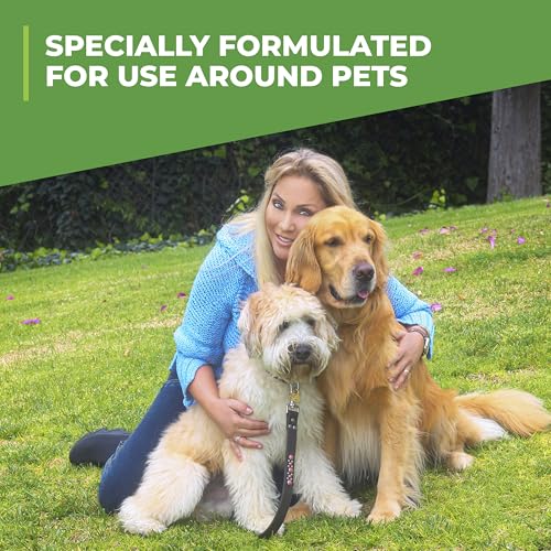 Simple Green Outdoor Odor Eliminator for Pets, Dogs, Ideal for Artificial Grass & Patio (32 oz Hose End Sprayer & 1 Gallon Refill)