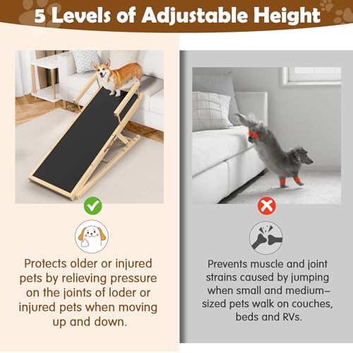 Dog Ramp for Bed and Couch 55" with Non-Slip Surface & Side Rails