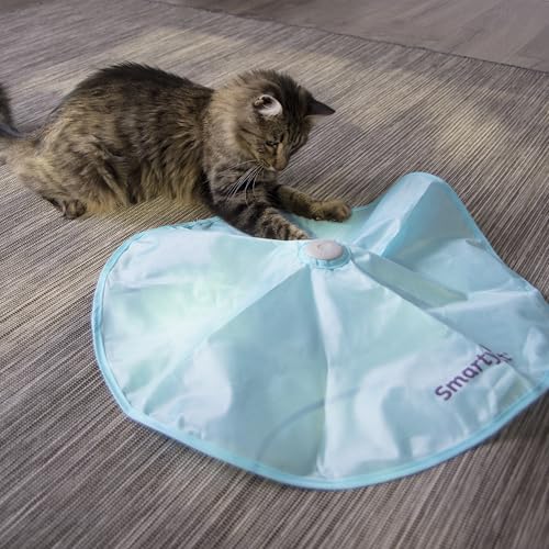 SmartyKat Hot Pursuit Electronic Concealed Motion Cat Toy, Unpredictable Erratic Movement Mimics Prey for Active Hunting for Cats & Kittens, Battery Powered
