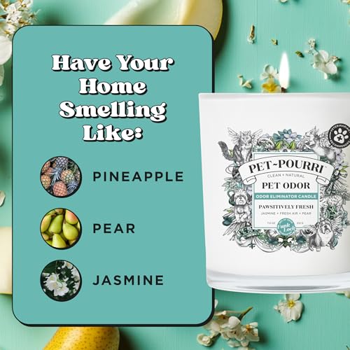 Pet-Pourri Pawsitively Fresh Pet Odor Deodorizer Candle, Burns Up to 45 Hours, Aromatherapy & Air Freshener with Essential Oils, Plant Based Ingredients & Wax, Vet Approved, Jasmine Pear Scent