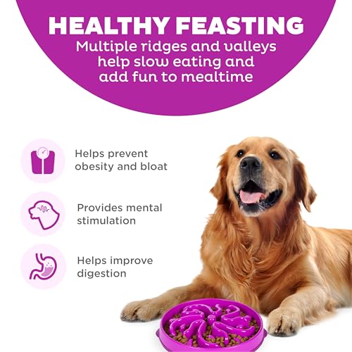 Outward Hound Fun Feeder Slo Bowl – Large 4‑Cup Capacity, Slow Feeding, Medium to Large Dogs, Non‑Slip, Purple, Flower Pattern