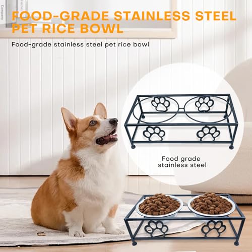 Hongshifu Elevated Dog & Cat Bowls with Stand – Raised Pet Feeder for Small Dogs & Cats, Stainless Steel Dog Food Bowls Elevated, Cat Food Bowl Stand, Elevated Cat Feeding Station (Black)