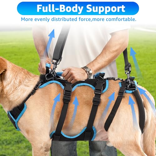 Lafoty Dog Lift Harness for Large Male Dogs, 2-in-1 Detachable Support Harness, Full Body Carrying with 4 Handles, Dog Sling for Large Dogs Hind Leg Support(Black, X-Large)