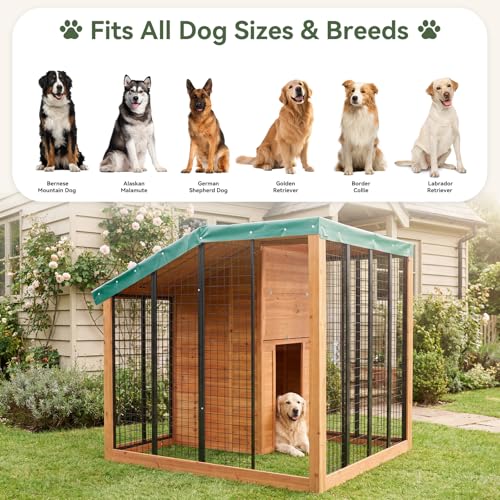 Aoxun 7' x 5' Large Outdoor Cedar Wood Dog House, Weatherproof Dog Kennel with Roof, Rear Door, Secure Lock & Built-in Storage for Medium to Large Dogs