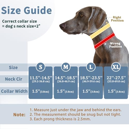 Mayerzon No Pull Dog Collar, Patented Martingale Collar for Small Medium Large Dogs with Buckle and Heavy Duty Nylon for Walking Training Hunting, Safe and Easy to Use(M, Green)