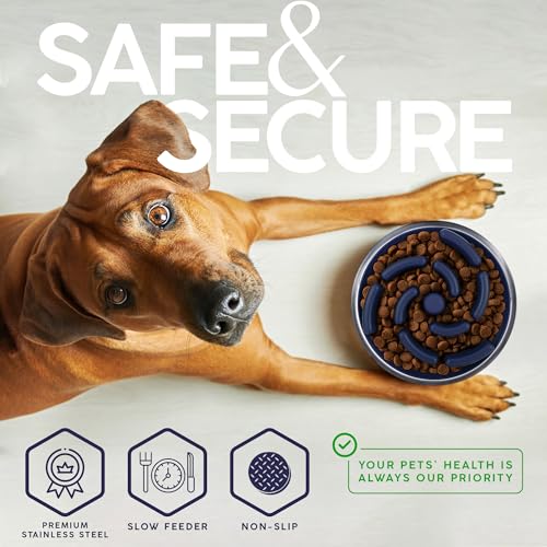 FAHRMOSIS 32 Oz Dog Bowl with Slow Feeder Insert Stainless Steel Pet Water Bowl for Medium & Large Breed Non Slip Rubber Base & Plastic Puzzle Feeder - Navy Blue