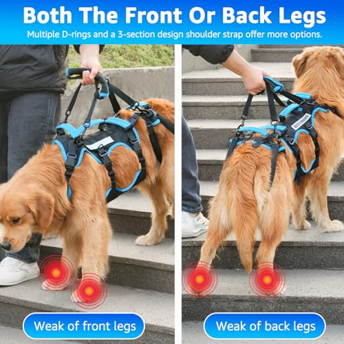 Lafoty Dog Lift Harness for Large Male Dogs, 2-in-1 Detachable Support Harness, Full Body Carrying with 4 Handles, Dog Sling for Large Dogs Hind Leg Support(Black, X-Large)