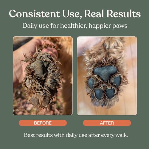 Dandylion Dog Paw Cleaner, Clean Paws, Dog Paw Washer, No Rinse Foam Cleaner for Dogs, Fragrance Free pH Balanced Foaming Washer with Silicone Brush, Pet Cleaning Supplies, 5 fl oz