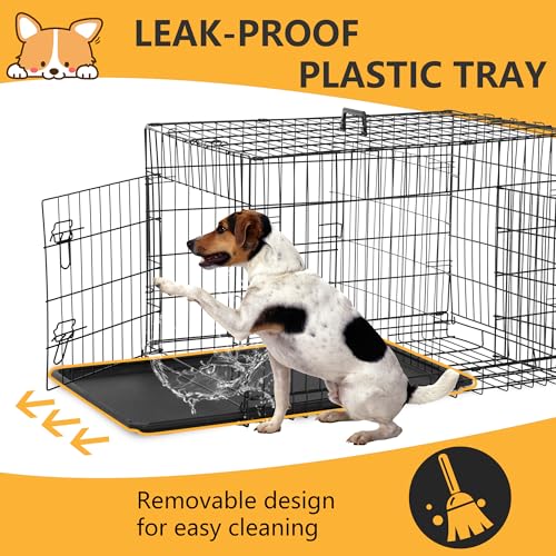 FDW Dog Crate Dog Kennel Cage with Double Door,36 inch Folding Metal Wire Dog Cage with Removable Tray&Divider Panel,Pet Crate for Medium Dogs,Black