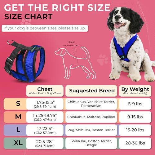 Gooby Comfort X Head in Harness - Blue, Large - No Pull Small Dog Harness, Patented Choke-Free X Frame - Perfect on The Go Dog Harness for Medium Dogs No Pull or Small Dogs for Indoor and Outdoor Use