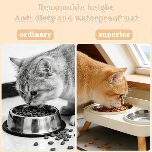 DIRZHX Elevated Cat Bowls with Food Mat, Splash Proof Anti Vomiting Raised Cat Food and Water Bowl Set, 2 Stainless Steel Dishes for Cats and Puppy, Pet Bowl for Indoor Cats White