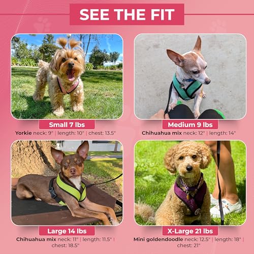 Gooby Comfort X Head in Harness - Blue, Large - No Pull Small Dog Harness, Patented Choke-Free X Frame - Perfect on The Go Dog Harness for Medium Dogs No Pull or Small Dogs for Indoor and Outdoor Use