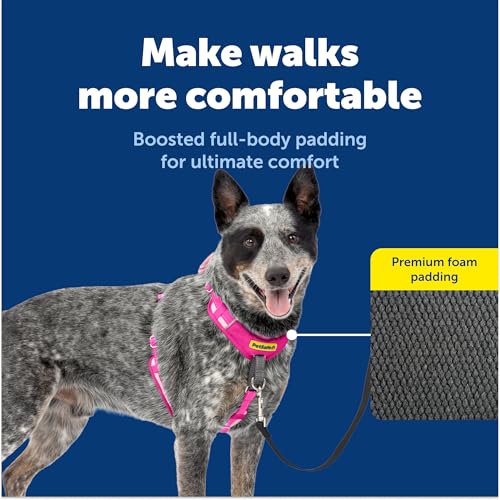 PetSafe Easy Walk Comfort No-Pull Dog Harness Full-Body Padding - Better Walks on the First Use - 5 Points of Adjustment Medium, Pink