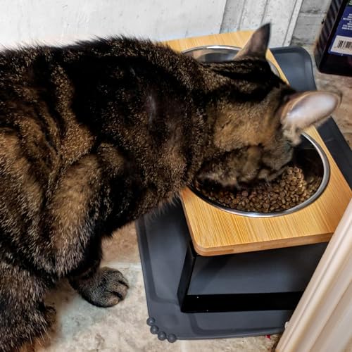 Elevated Whisker Friendly Cat Bowls, 15 Tilted Stand Anti Vomiting Raised Dishes for Food and Water, Stainless Steel Bowls for Cats and Puppy