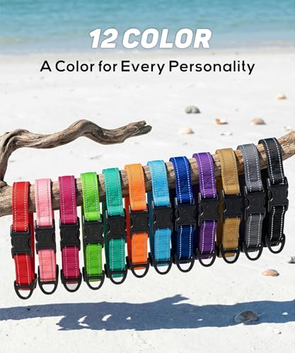 TagME Dog Collars for Small Dogs, Reflective Nylon Pet Collar with Quick Release Buckle, Small Dog Collar for Boys, Sky Blue, 3/8" Width