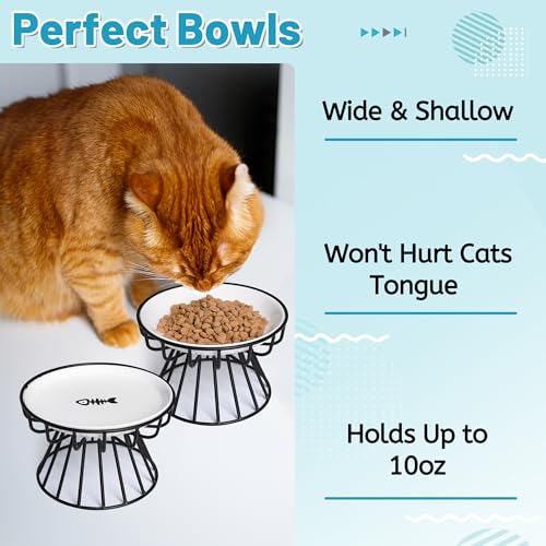 Wellbro Cat Bowls, Elevated Cat Bowl, Raised Ceramic Dish with Metal Stand, Pet Water or Food Feeding Station for Indoor Cats, Kitten, Puppies and Small Dogs, Dishwasher Safe