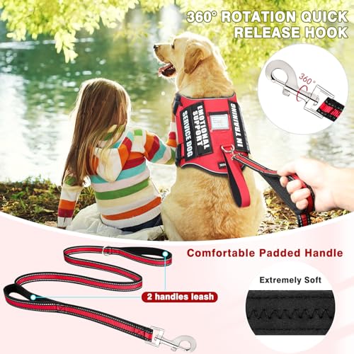 MOOGROU Service Dog Vest Harness and Leash Set+10 Patches,No Pull&Adjustable Reflective Dog Harness with Soft Padded Handle for Training/Everyday,Fit Small/Medium/Large/Extra-Large Dogs(Red M)