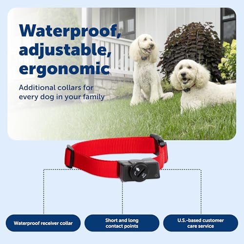 PetSafe Wireless Pet Fence Containment System Receiver Collar Only for Dogs and Cats Over 8 lbs., Waterproof with Tone and Static Correction - from The Parent Company of Invisible Fence Brand
