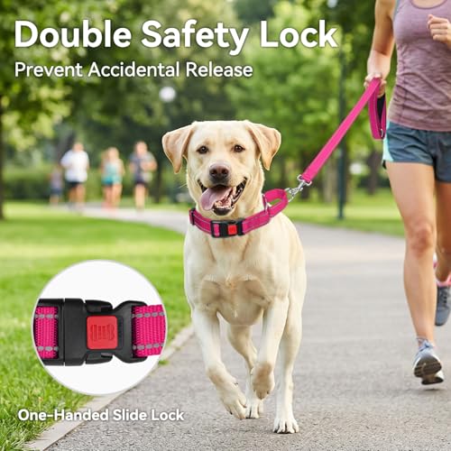 Joytale Martingale Collar for Dogs, Reflective Escape Proof Training Dog Collars with Safety Lock Buckle, No Slip Soft Nylon for Medium Pets, Hotpink, M