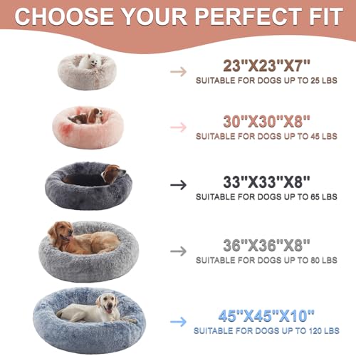 BedStill 36 inches Donut Dog Bed for Large Dogs - Calming Fluffy Round Pet Bed with Removable & Washable Cover,Fits up to 80 lbs Pets (Dark Grey,Large)