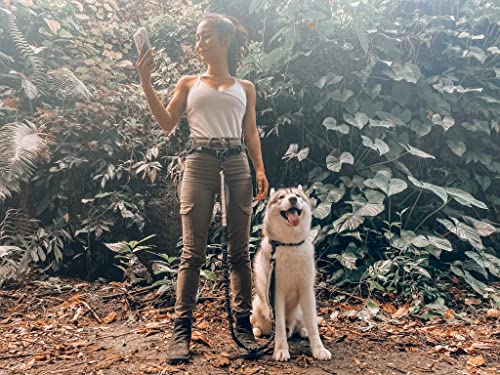 Tuff Pupper Heavy Duty Hands Free Dog Leash | One Large Dog Up to 125 lbs | Comfortable Shock Absorbing Bungee | Reflective Padded Handles | Lumbar Waist Belt 28-50" | Walking Jogging Running Leash