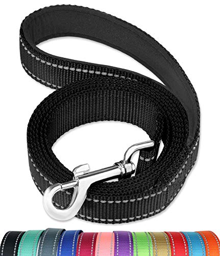 FunTags 6FT Black Reflective Dog Leash for Large & Medium Dogs Walking, Soft Padded Handle Comfortable Grip, Heavy Duty Nylon, Reflective for Night Walking, 1in Wide