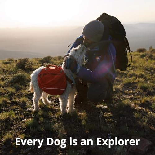 Ruffwear, Crag Dog Collar, Stylish Adventure Collar with Premium Reflective Design, Quick Release Buckle, Lightweight All-Day Comfort, Rising Wave, 14"-20"