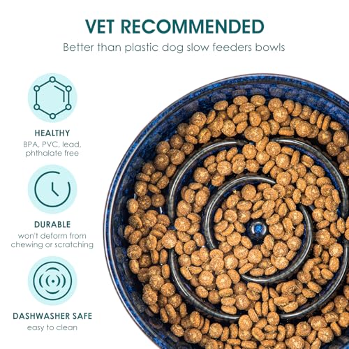vancasso Slow Feeder Dog Bowl, 0.6 Cups Ceramic Dog Food Dish for Fast Eaters Small Breed, Puzzle Bowl for Small Dogs and Cats, Blue