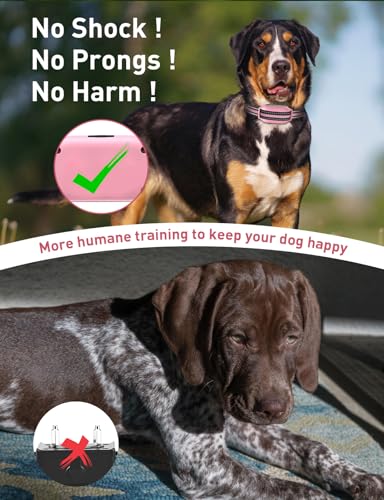 DOGLinsen No Shock Dog Training Collar, Beep and Vibrating Dog Collar with Remote 2800Ft, Vibration Collar for Small Medium Large Dogs - No Prongs