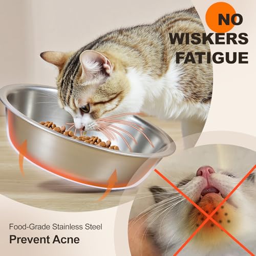 Cat Food Bowl for Indoor Cats - Elevated Stainless Steel Water Bowl, Tilted Raised Kitten Dish Set for Whisker Friendly and Anti Vomit, Feeding Station for Puppy and Pet