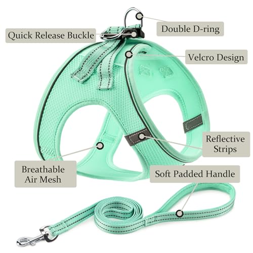 Dog Harness with Leash Set, No Pull Adjustable Reflective Step-in Puppy Pet Vest Harnesses for Small Medium Large Dogs and Cats,Green XS