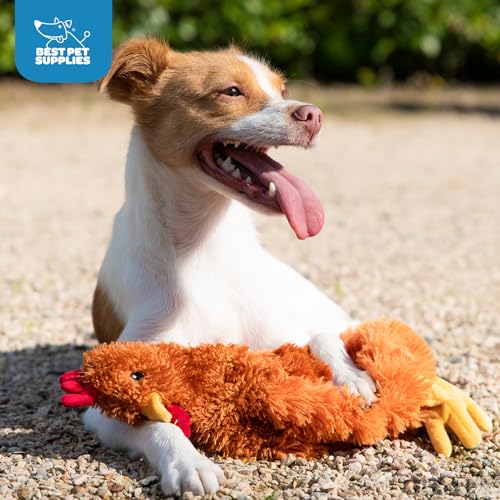 Best Pet Supplies Interactive Squeaky Dog Chew Toy, Ideal Dog Toys for Chewers, Small, Medium & Large Dogs, and Fetch Lovers - Crinkle Chicken (Brown), Large