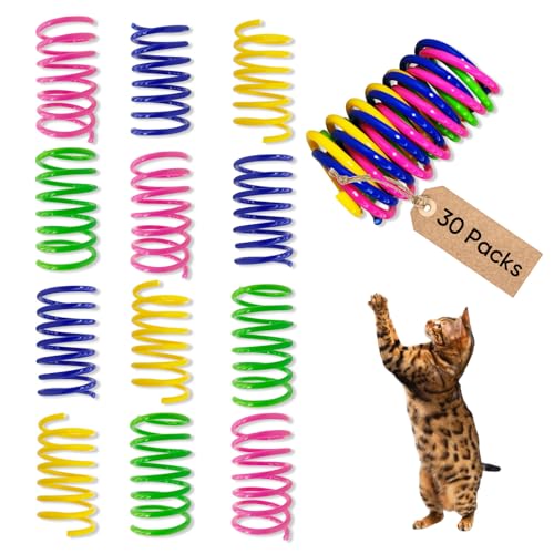 AGYM Cat Toys for Indoor Cats, 30 Pack Interactive Cat Spring Toys, Durable Colorful Plastic Spiral Springs for Kitten Hunt, Swat and Bite, Bulk Cat Toys