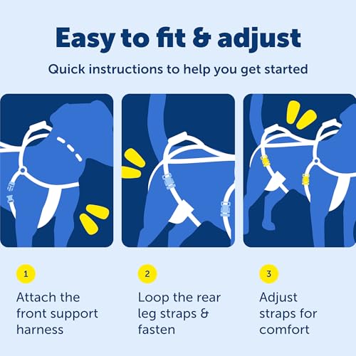 PetSafe CareLift Dog Lift Harness, Full Body Lifting & Support Sling with Handle & Shoulder Strap, Large
