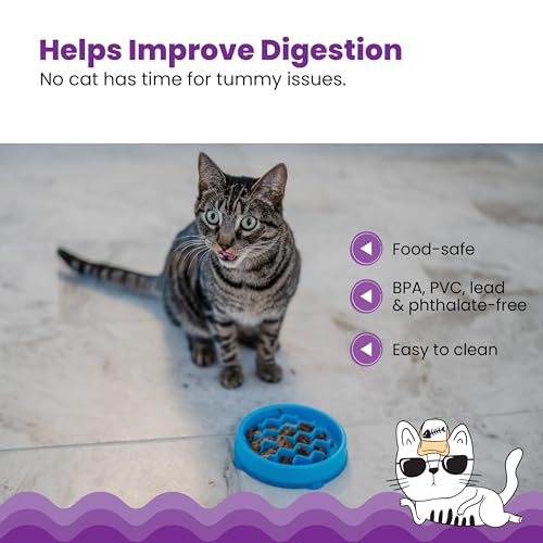Catstages Kitty Slow Feeder Bowl for Cats & Small Dogs, Puzzle Dish for Fast Eaters, for Wet or Dry Food, Helps Slow Eating & Aid Digestion, Non-Slip, Made Without BPA, 3/4 Cup, 5-Inch, Blue