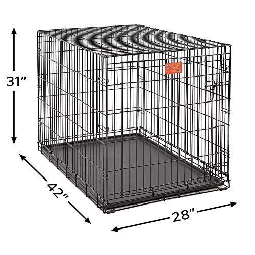 MidWest Homes for Pets Large LifeStages Single Door 42-Inch Folding Dog Crate, Enhanced Security, Includes Leak-Proof Pan, Divider Panel, Handle, Rubber Feet