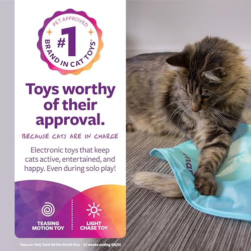 SmartyKat Hot Pursuit Electronic Concealed Motion Cat Toy, Unpredictable Erratic Movement Mimics Prey for Active Hunting for Cats & Kittens, Battery Powered