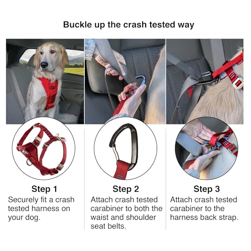 Kurgo Enhanced Strength Tru-Fit Dog Car Harness - Pet Travel Safety Harness - Crash Test Certified Fit - Five Point Adjustment - Secure Buckle - Padded Chest - Black - Medium