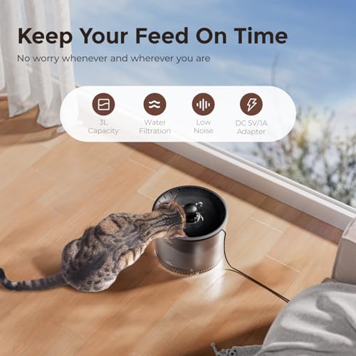 IMIPAW Automatic Cat Feeder and Water Fountain, Timed Dry Food Dispenser, Programmable Portion Control, 1-6 Meals Per Day, Desiccant Bag, Cat Fountains for Drinking with Filter, Small Pets (3L Combo)